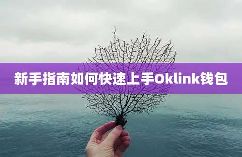 新手指南如何快速上手Oklink钱包