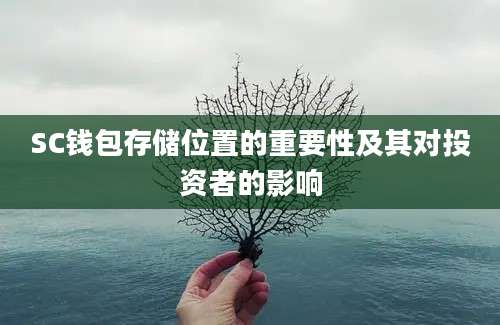 SC钱包存储位置的重要性及其对投资者的影响