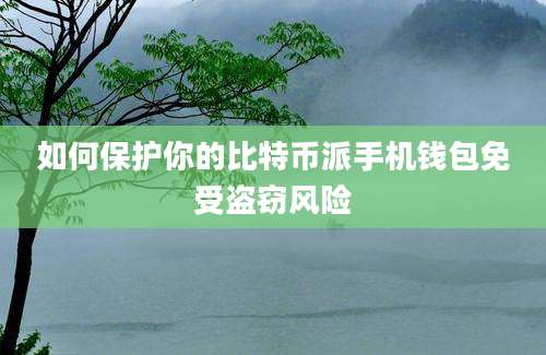 如何保护你的比特币派手机钱包免受盗窃风险