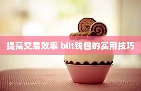 提高交易效率 biit钱包的实用技巧