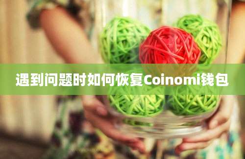 遇到问题时如何恢复Coinomi钱包