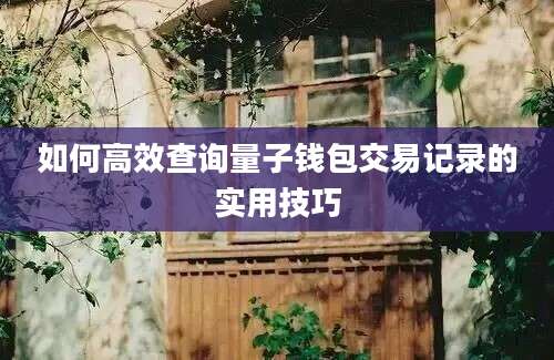 如何高效查询量子钱包交易记录的实用技巧