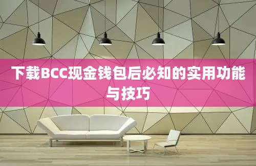 下载BCC现金钱包后必知的实用功能与技巧