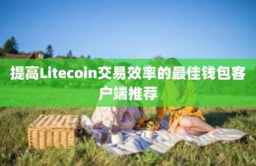 提高Litecoin交易效率的最佳钱包客户端推荐