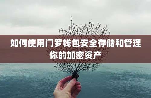 如何使用门罗钱包安全存储和管理你的加密资产