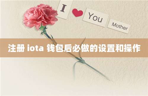 注册 iota 钱包后必做的设置和操作