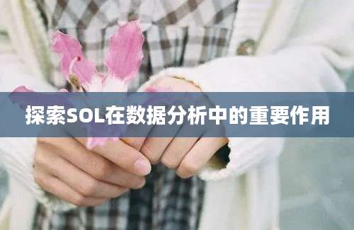 探索SOL在数据分析中的重要作用