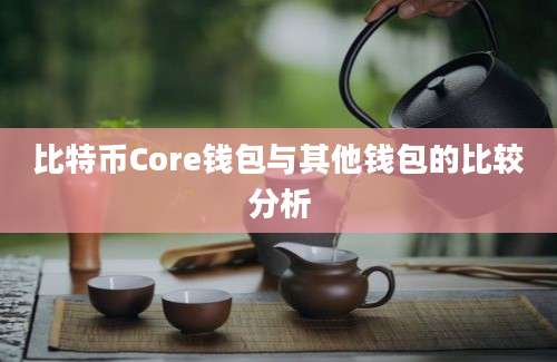 比特币Core钱包与其他钱包的比较分析