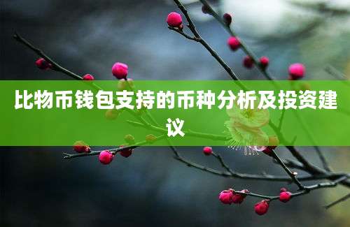 比物币钱包支持的币种分析及投资建议