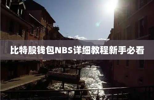 比特股钱包NBS详细教程新手必看