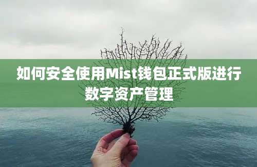 如何安全使用Mist钱包正式版进行数字资产管理