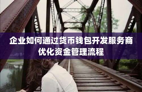 企业如何通过货币钱包开发服务商优化资金管理流程