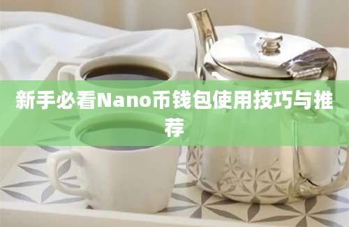 新手必看Nano币钱包使用技巧与推荐