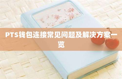 PTS钱包连接常见问题及解决方案一览