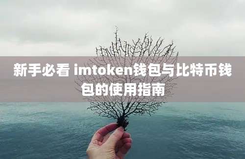 新手必看 imtoken钱包与比特币钱包的使用指南