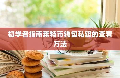 初学者指南莱特币钱包私钥的查看方法