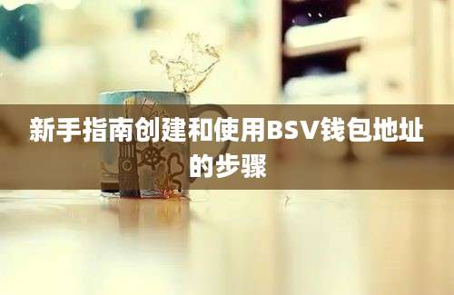 新手指南创建和使用BSV钱包地址的步骤