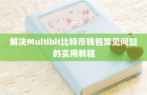 解决Multibit比特币钱包常见问题的实用教程