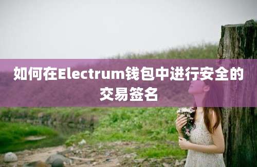 如何在Electrum钱包中进行安全的交易签名