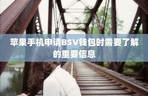 苹果手机申请BSV钱包时需要了解的重要信息