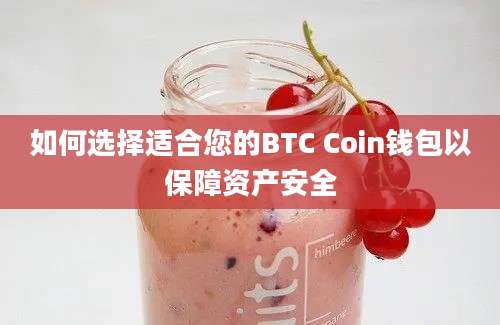 如何选择适合您的BTC Coin钱包以保障资产安全