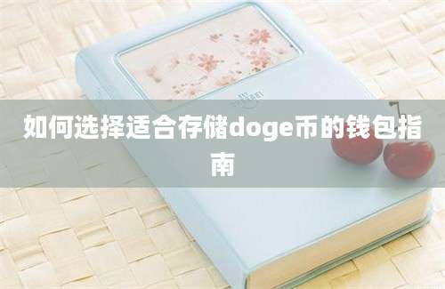 如何选择适合存储doge币的钱包指南