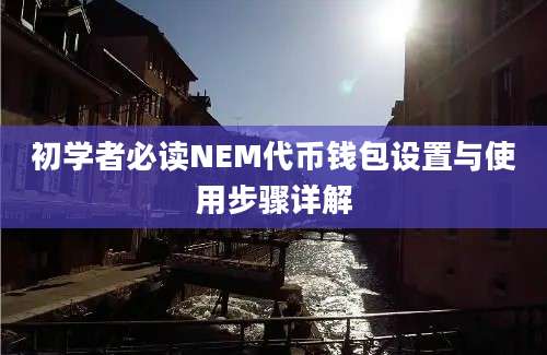 初学者必读NEM代币钱包设置与使用步骤详解