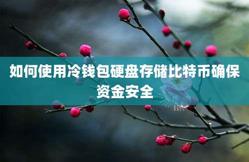 如何使用冷钱包硬盘存储比特币确保资金安全