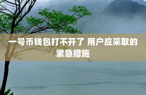 一号币钱包打不开了 用户应采取的紧急措施