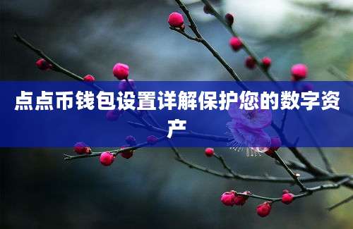 点点币钱包设置详解保护您的数字资产