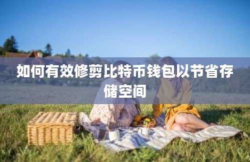 如何有效修剪比特币钱包以节省存储空间