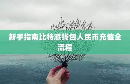 新手指南比特派钱包人民币充值全流程