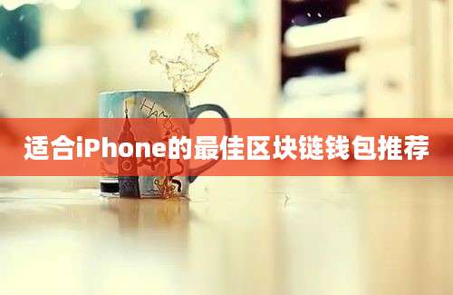 适合iPhone的最佳区块链钱包推荐