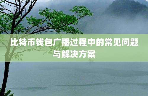 比特币钱包广播过程中的常见问题与解决方案