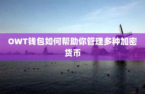 OWT钱包如何帮助你管理多种加密货币