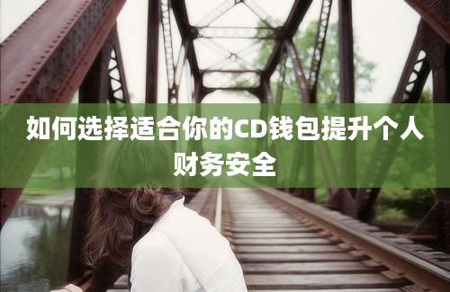 如何选择适合你的CD钱包提升个人财务安全