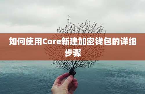 如何使用Core新建加密钱包的详细步骤