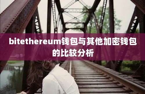 bitethereum钱包与其他加密钱包的比较分析