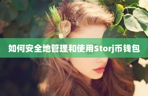 如何安全地管理和使用Storj币钱包