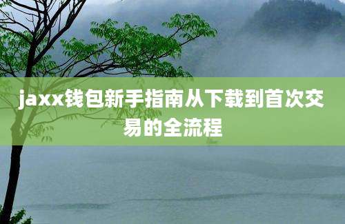 jaxx钱包新手指南从下载到首次交易的全流程