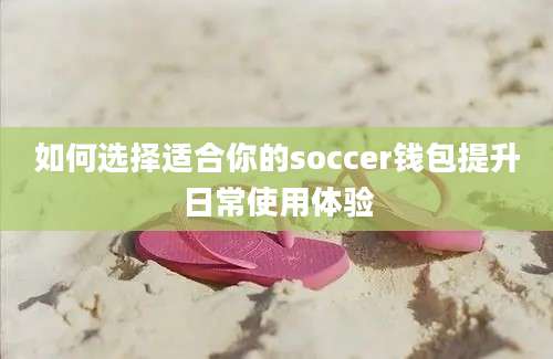 如何选择适合你的soccer钱包提升日常使用体验