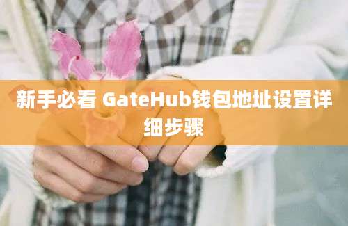 新手必看 GateHub钱包地址设置详细步骤