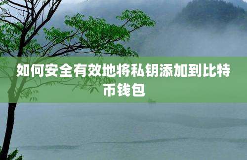 如何安全有效地将私钥添加到比特币钱包