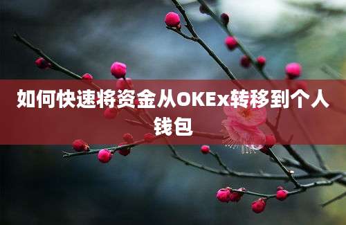 如何快速将资金从OKEx转移到个人钱包