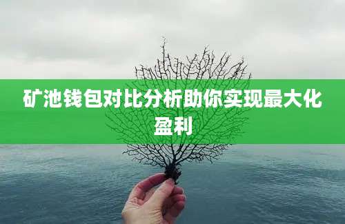 矿池钱包对比分析助你实现最大化盈利