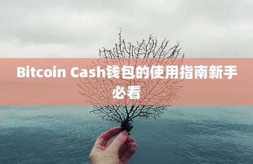 Bitcoin Cash钱包的使用指南新手必看