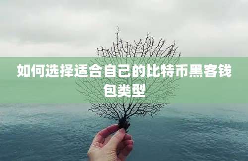 如何选择适合自己的比特币黑客钱包类型