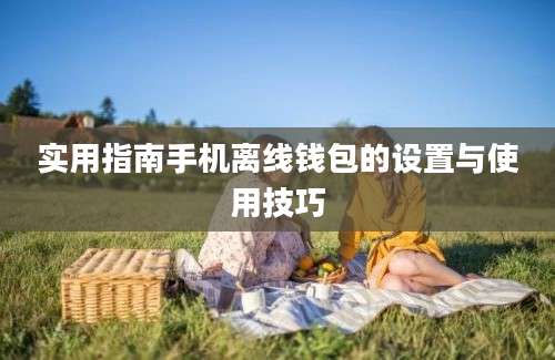 实用指南手机离线钱包的设置与使用技巧