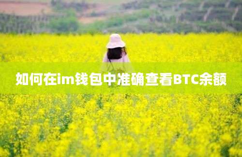 如何在im钱包中准确查看BTC余额