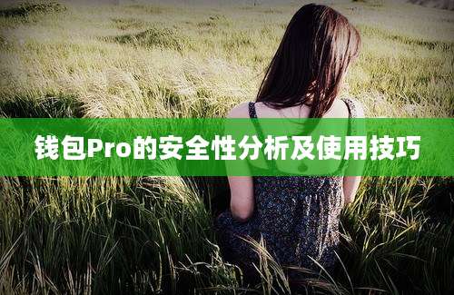 钱包Pro的安全性分析及使用技巧